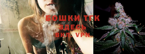 ECSTASY Богданович