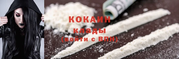 ECSTASY Богданович
