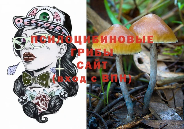 гидропоника Богородицк