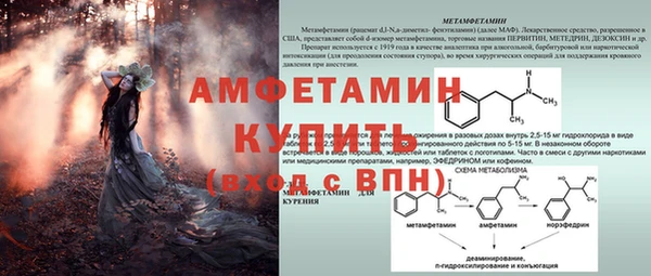 круглые Белокуриха