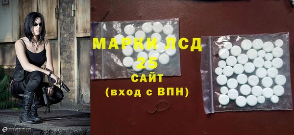 ECSTASY Богданович