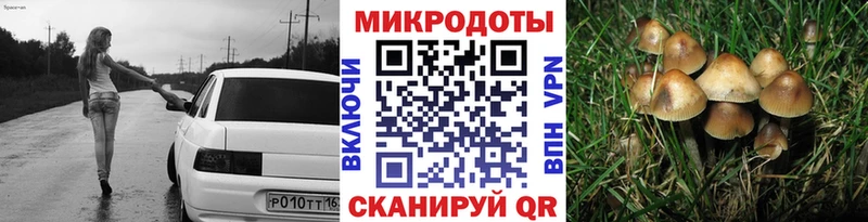 Галлюциногенные грибы Cubensis  Калуга 