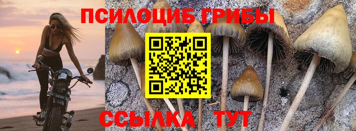 Псилоцибиновые грибы Magic Shrooms  Вход с VPN  Калуга 